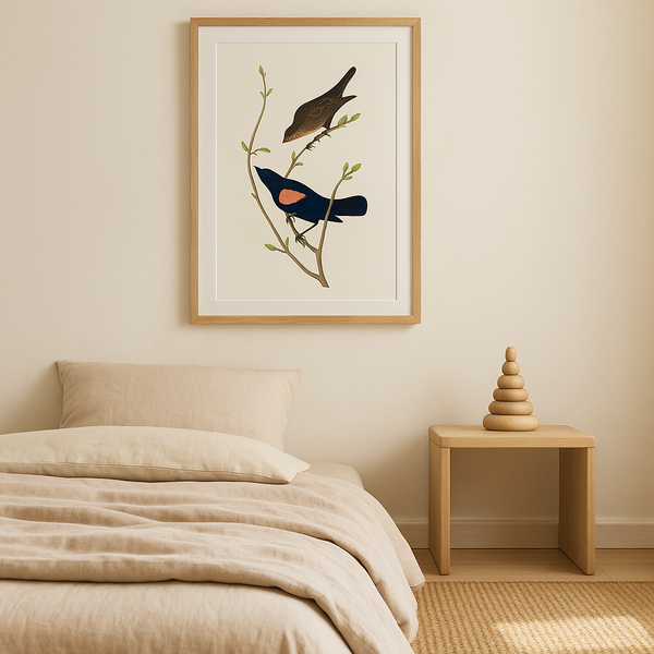 Light Shadow - Marn Studios