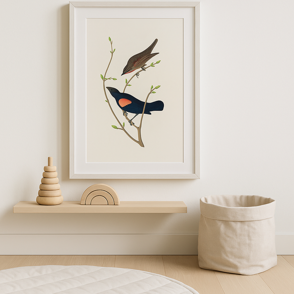 Light Shadow - Marn Studios