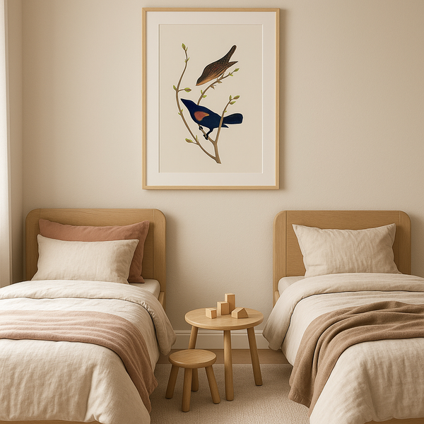 Light Shadow - Marn Studios