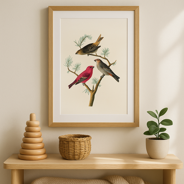 Light Quiet Second Edition - Marn Studios