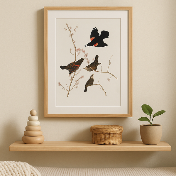 Light Quiet - Marn Studios