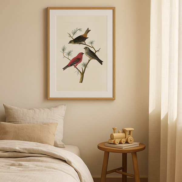 Light Quiet Second Edition - Marn Studios