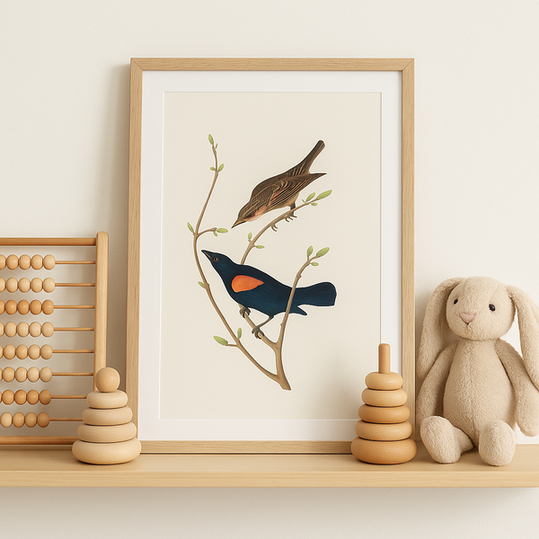 Light Shadow - Marn Studios