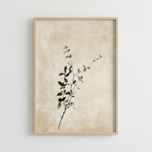 Tender Fern - Marn Studios